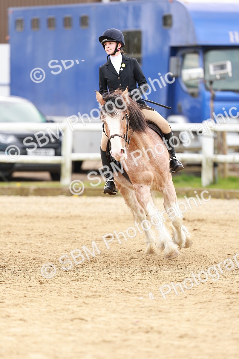 SBM_004189 - Class 3 - 60cm