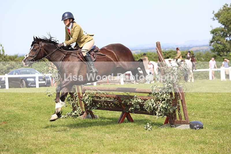 JPP_3557 - Class 23: Working Hunter 80cm