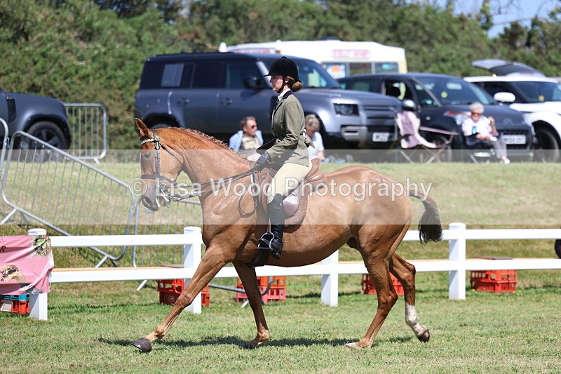 3E7A7754 - Class 7: Open Riding Horse