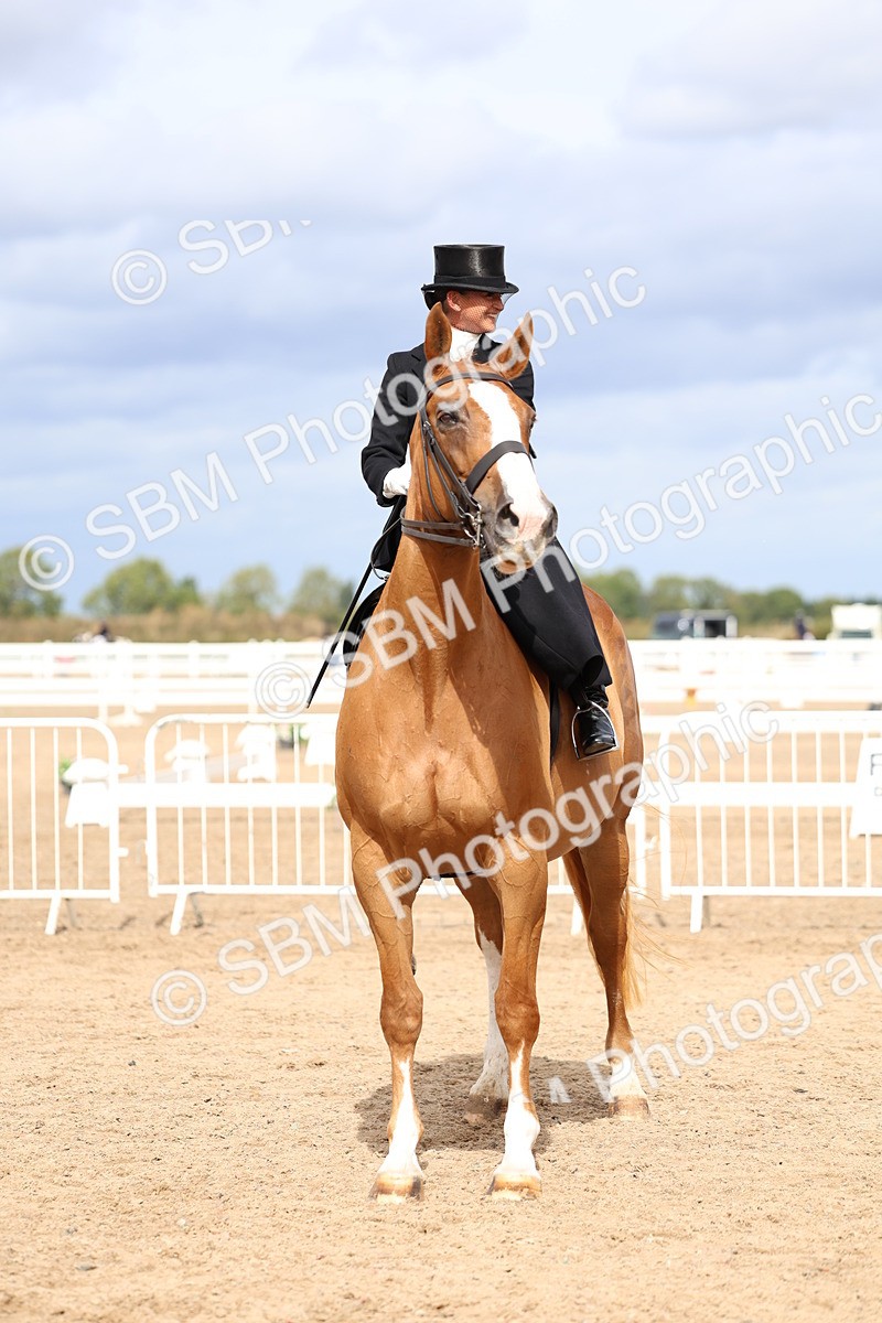 SBM_03333 - Class 23 - SSA Classical (any age)