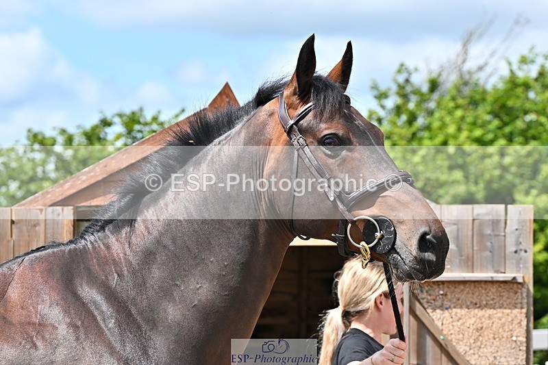 240718A-105249-01197 - Trot Up 12pm to 1pm