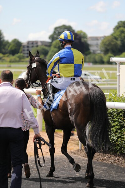 yr11062021r2-7 - Race 2 2.20pm Churchill Tyres Stakes