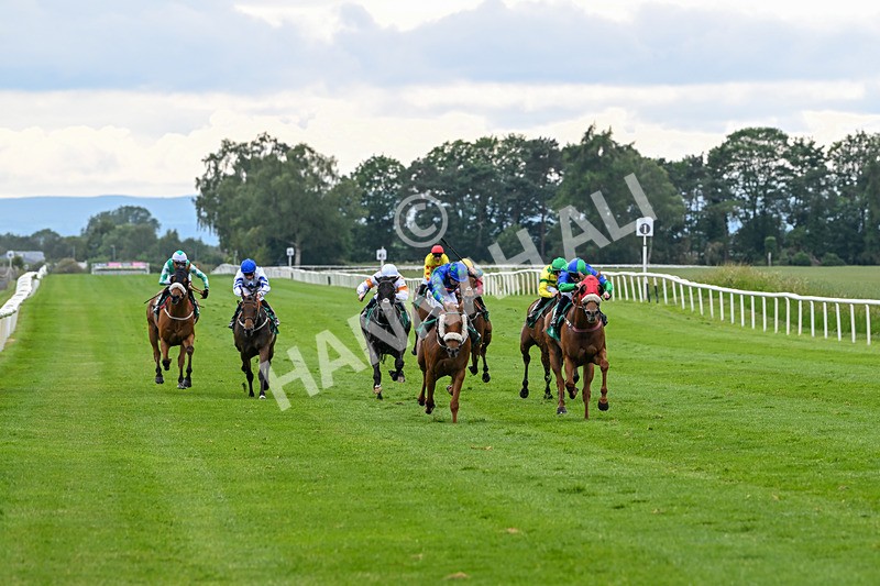 170625-Race 4-Lord Abama-5132 - Race 4