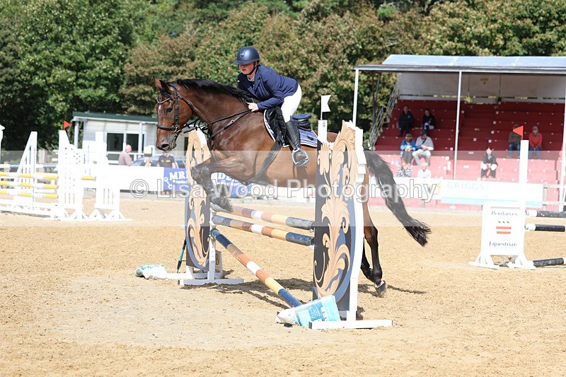 3E7A9458 - Class 9: Senior British Novice/90cm open