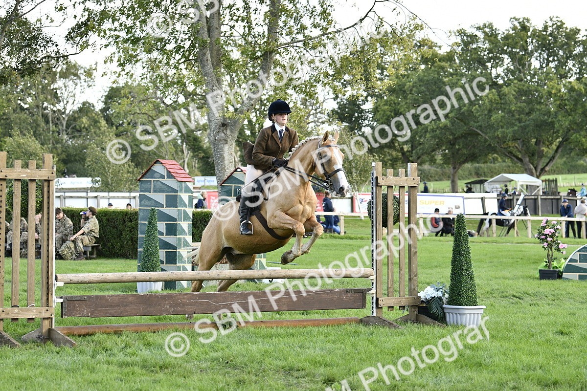 SBM_49955 - S34 - Novice & Newcomers Working Hunter