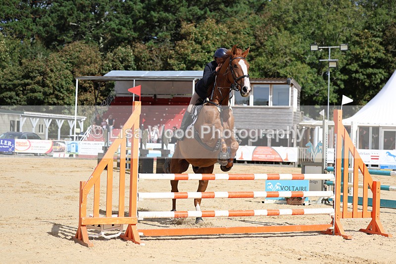 3E7A2105 - Class 4: Senior British Novice/90cm open
