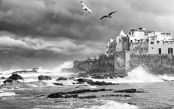  - Black & White