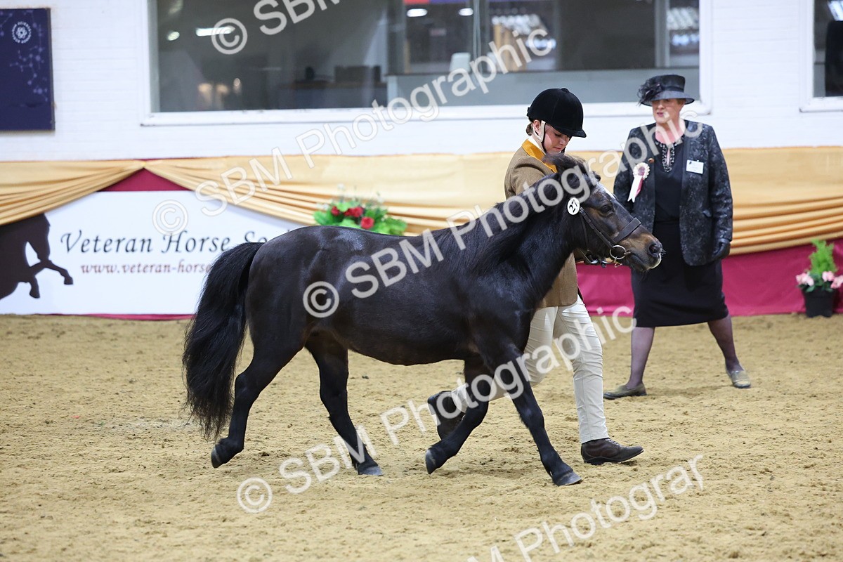 SBM_19681 - Class 901 - Supreme Final - IH Diamond