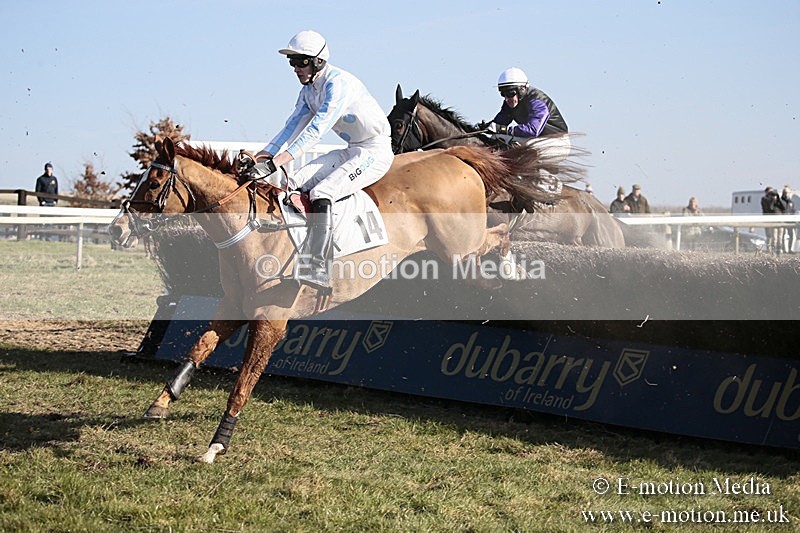 PtP 240218 373 - Vine & Craven Hunt Point-to-Point Barbury racecourse 24/02/18