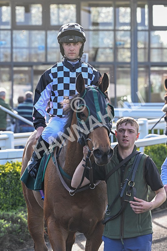 080426-Race 7-Sir Garfield-1289 - Race 7