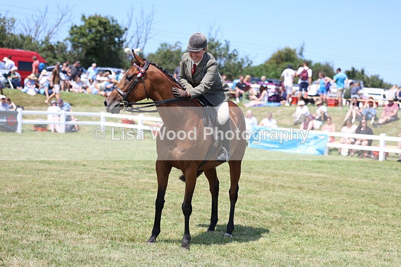 3E7A9401 - Class 12: Open Racehorse to Show Horse