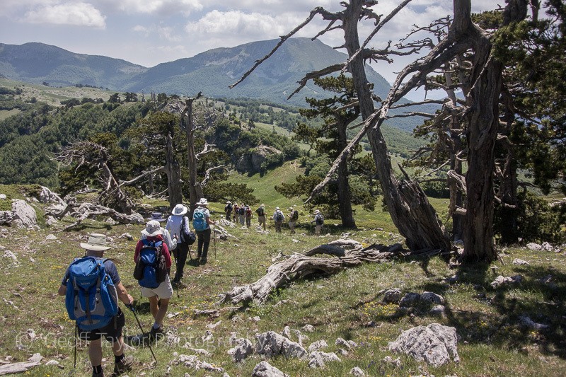 9338 Pollino Massif - Basilicata