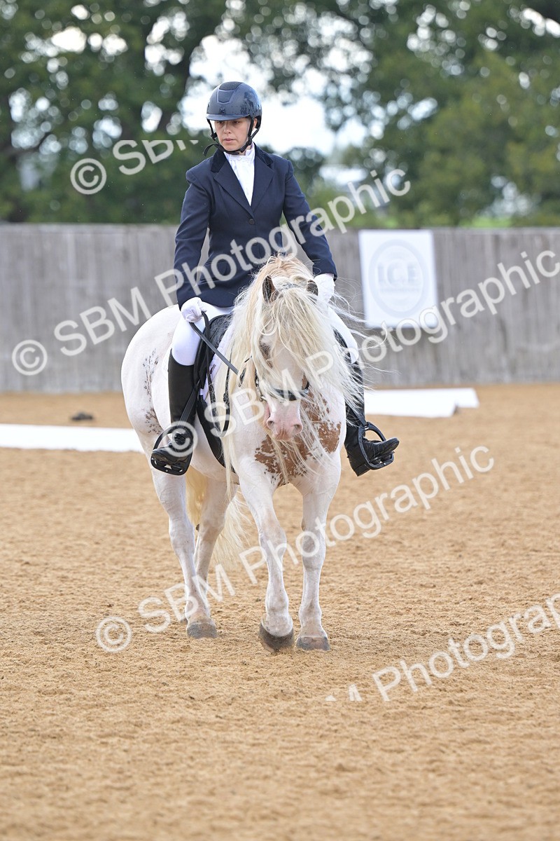 SBM_11208 - D3 - Small Tour Championship Intro 3
