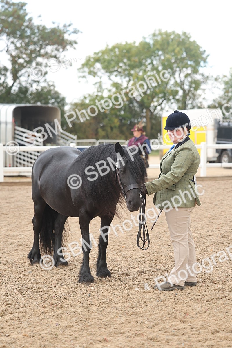 SBM_03248 - Class 16 - IH M&M Wildcard