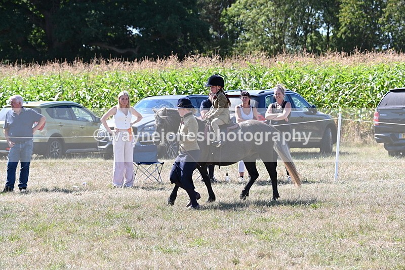 WJ6_7976 - Class 36 Lead Rein