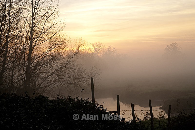 Morning mist 1 - Landscapes