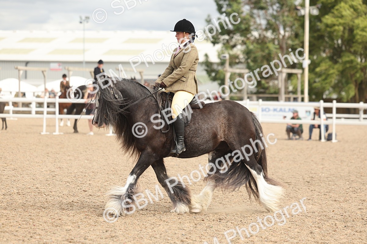 SBM_18010 - Class 314 - Family Horse Pony