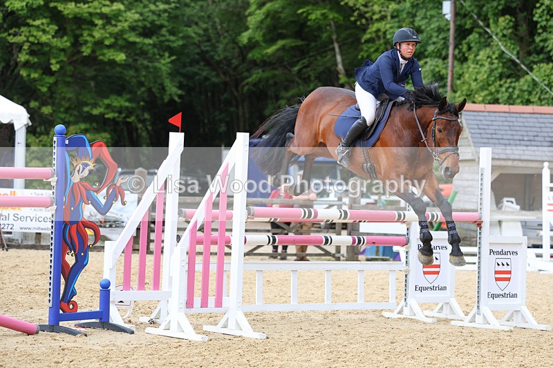 3E7A7879 - Class 8: Senior Foxhunter/1.20 open