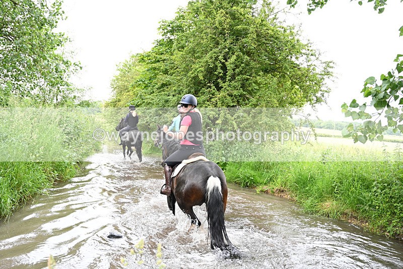 WJ7_2365 - Camera 2 Water Crossing