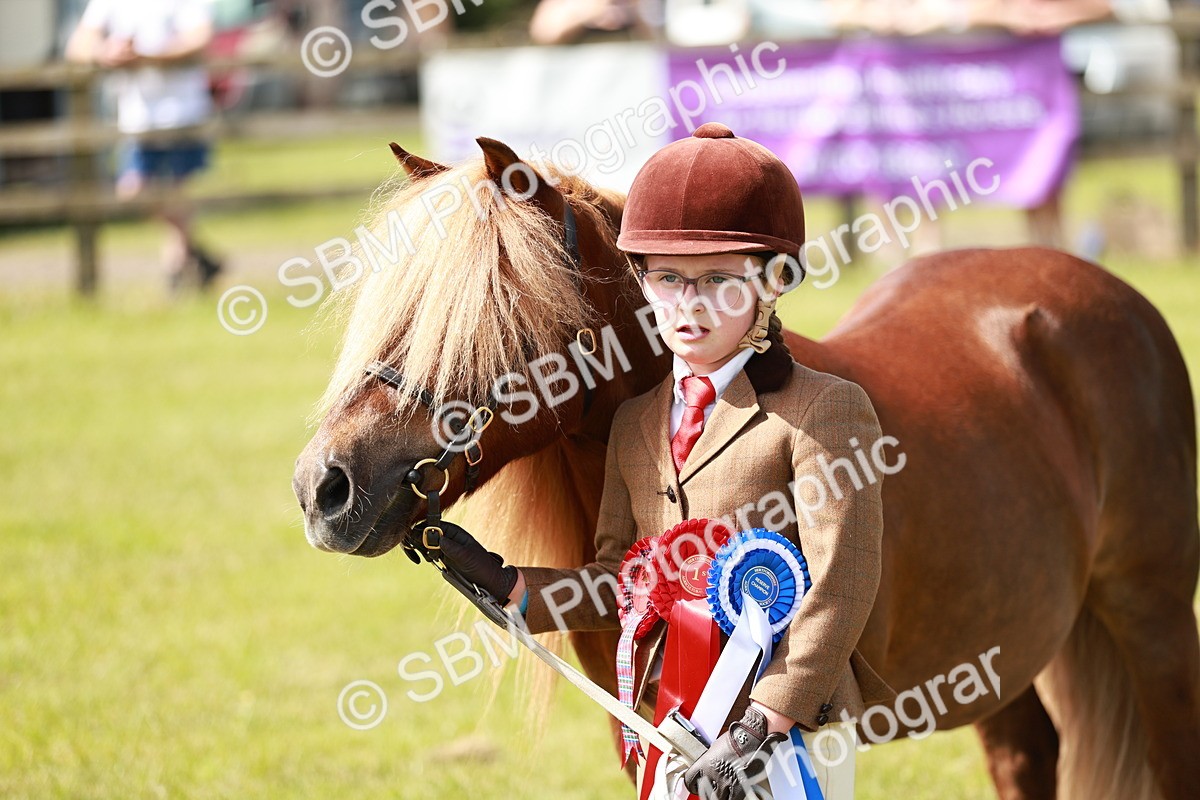 SBM_02523 - Class 14-23 - Mountain & Moorland In Hand Non Welsh