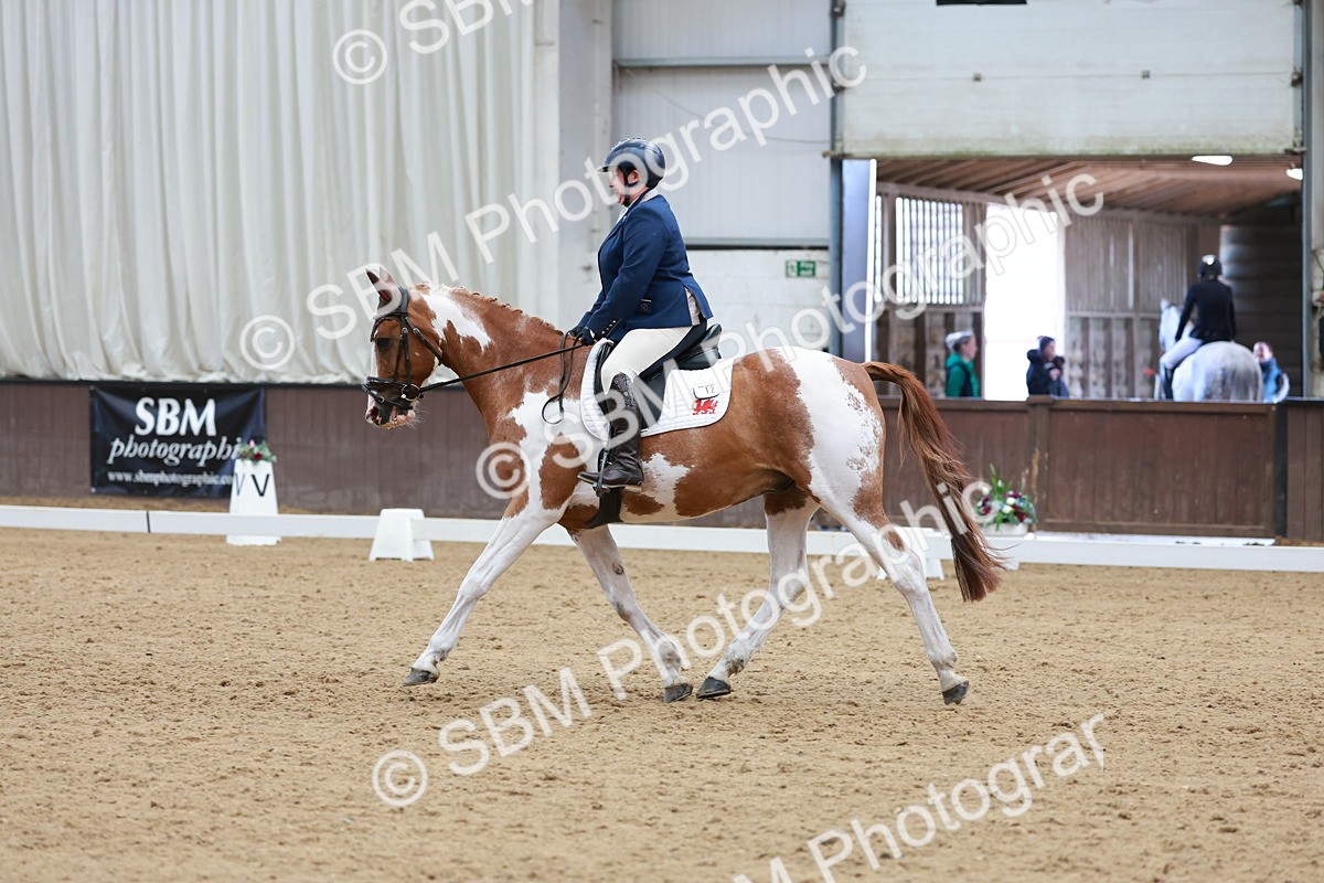 SBM_010065 - Class 6b - Novice 6 - 12.40-13.43