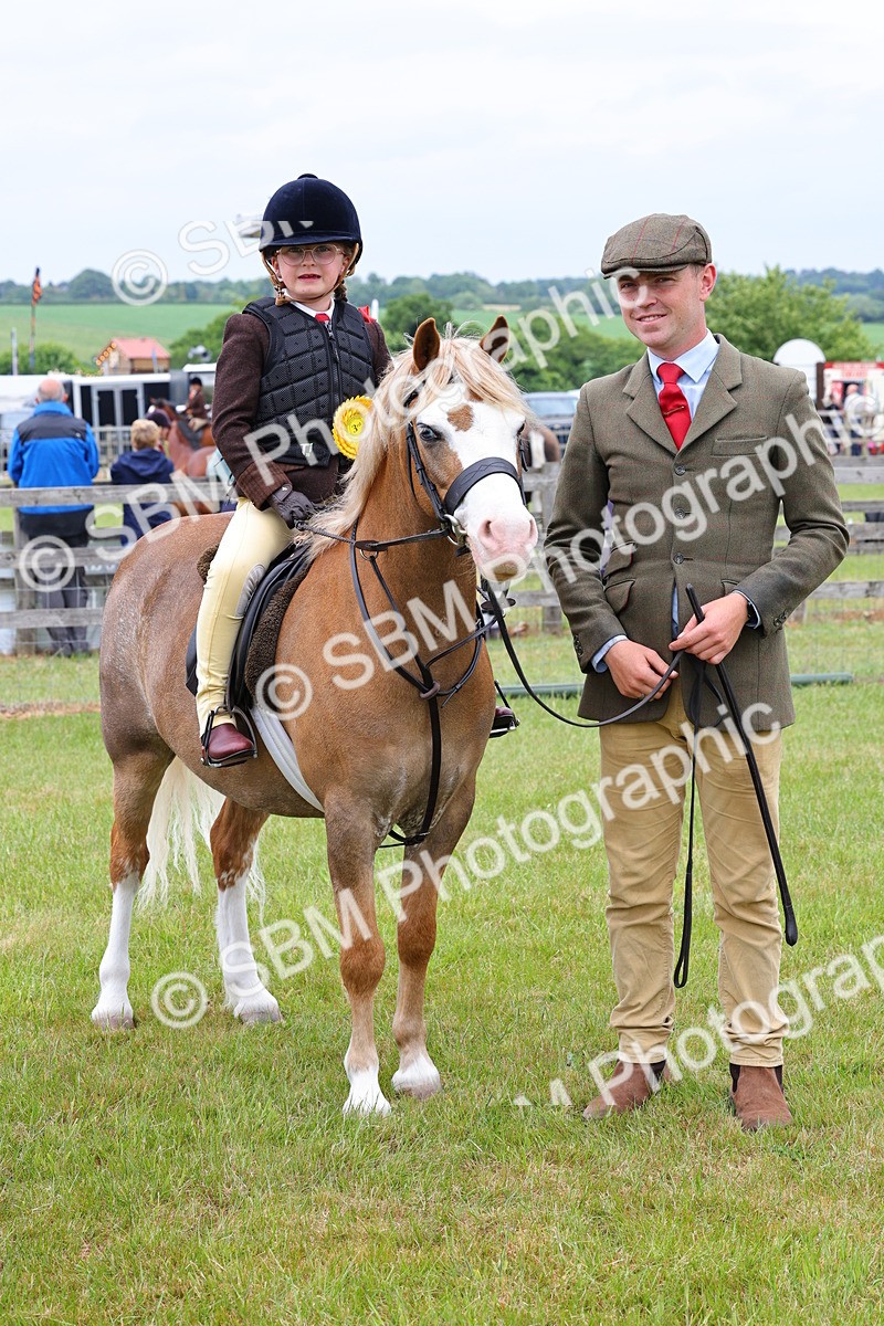 SBM_08371 - Class 42-43 - LIHS BSPS Heritage Working Sports Pony