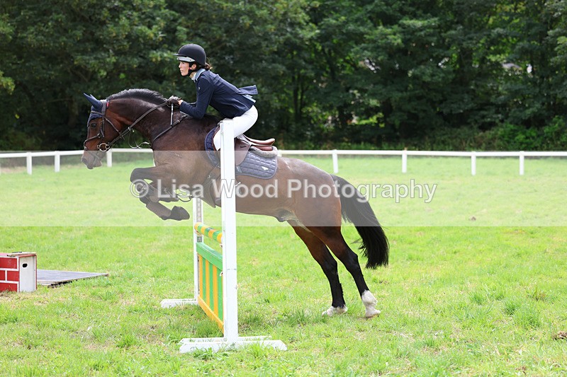 3E7A7154 - Class 5: Senior British Novice/90cm open