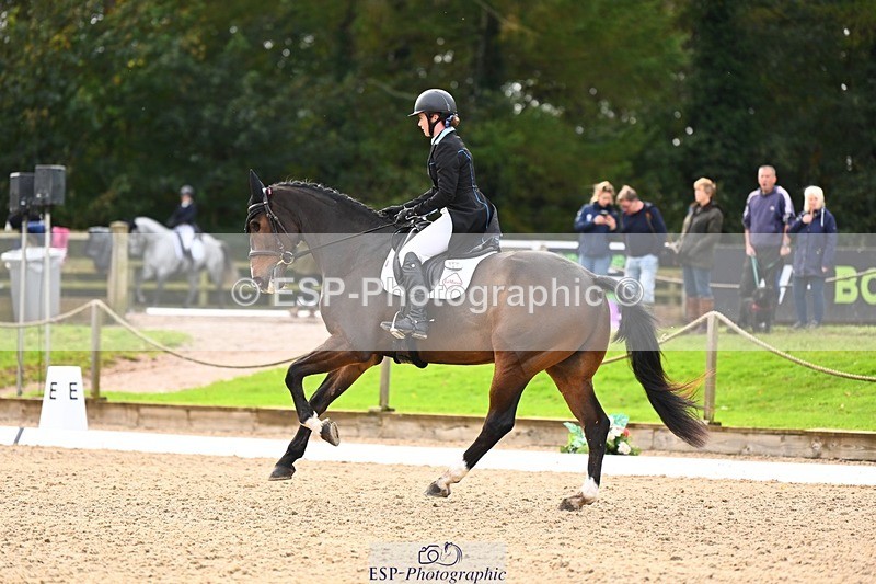 231021-134624-17717 - 350-DAZZLING.SPRINGTIME-Alice.Kneen-DR