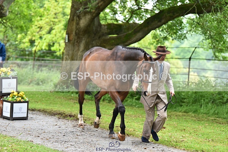 240522-170340-01356 - 235-GREENHALL_JAY-Henry_Hobby