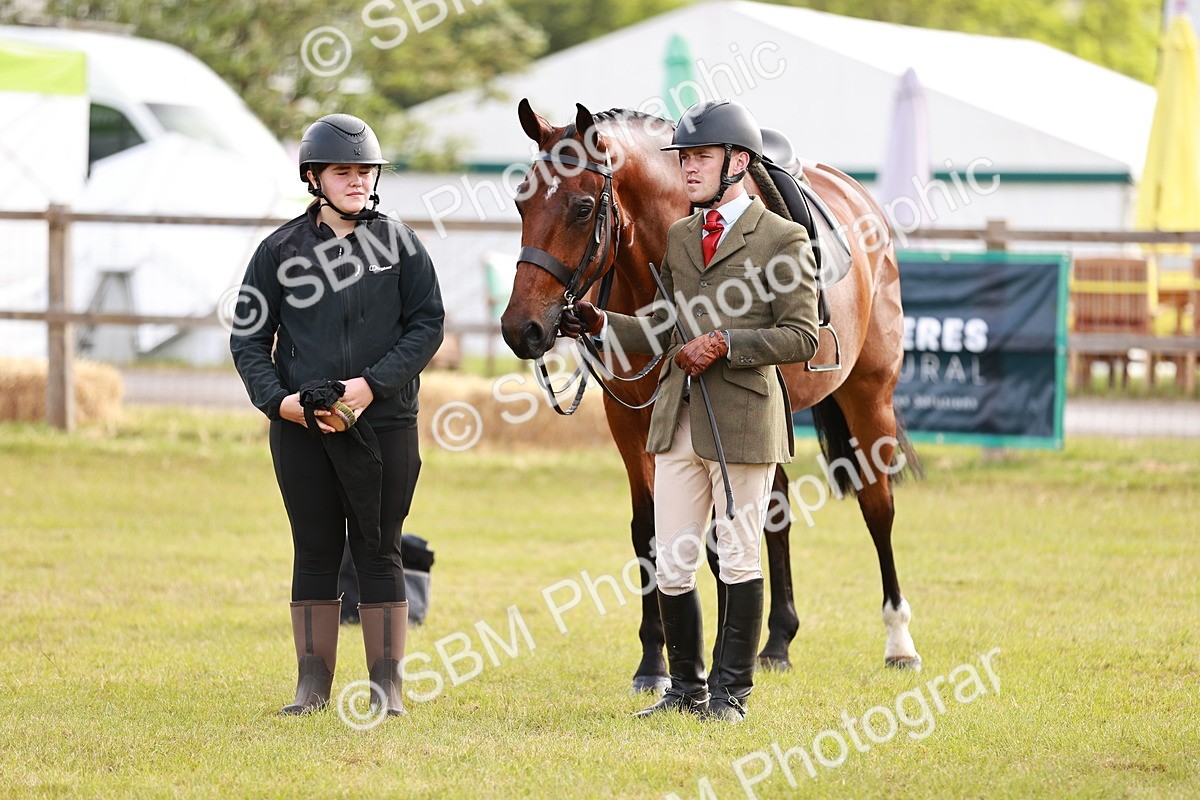 SBM_10798 - Class 81-84 - RIHS Ridden hunters Inc Ladies Hunter