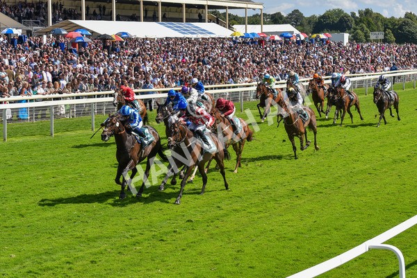150723-Race 3-Pride of America-8683 - Race 3 3.10pm John Smith's Cup Handicap
