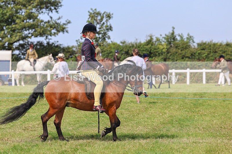 IMG_3705 - M & M Ridden Championship