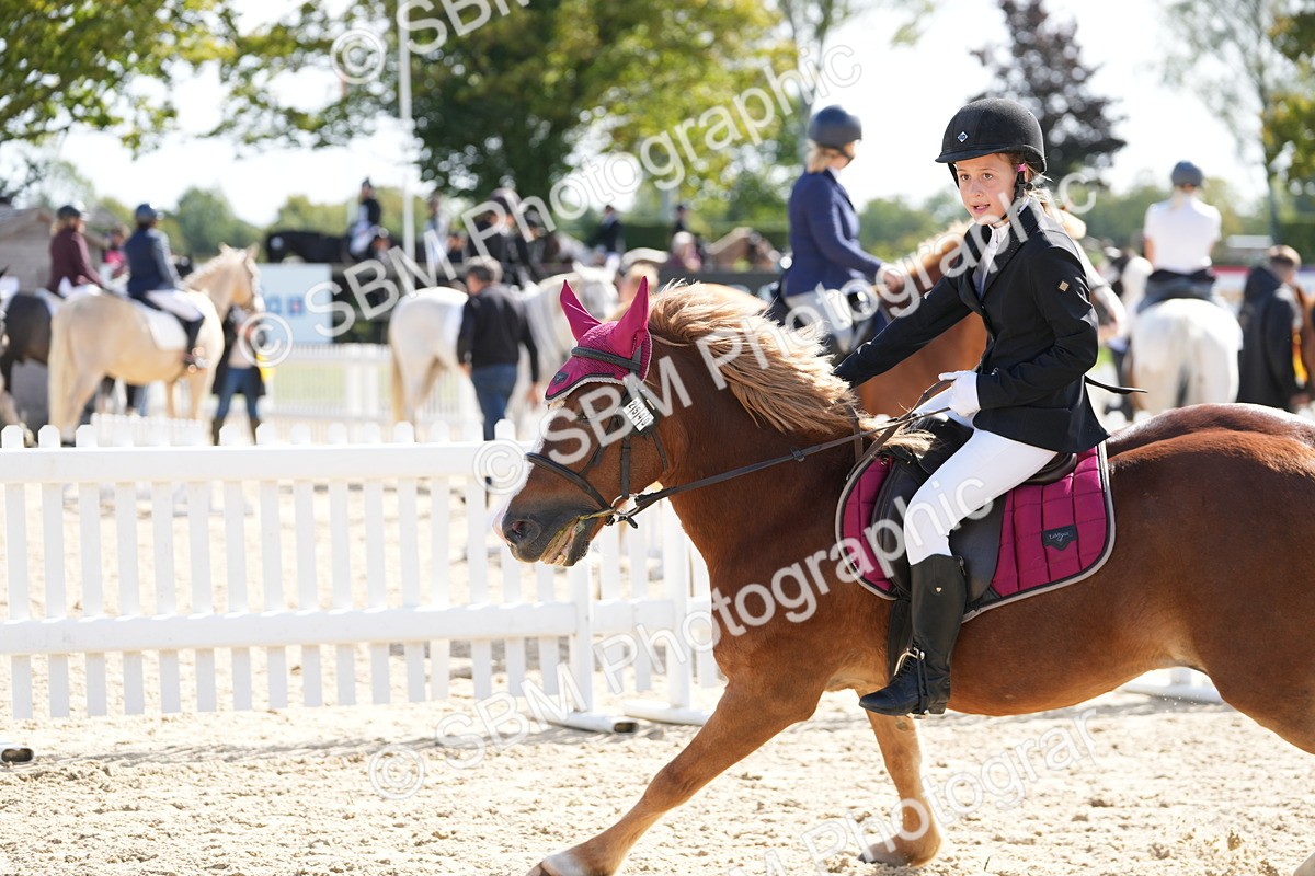 SBM_18012 - J58 - Clear Round 50cm