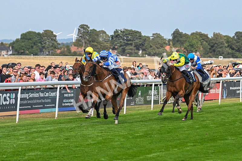 240825-Race 5-This Years Love-3400 - Race 5