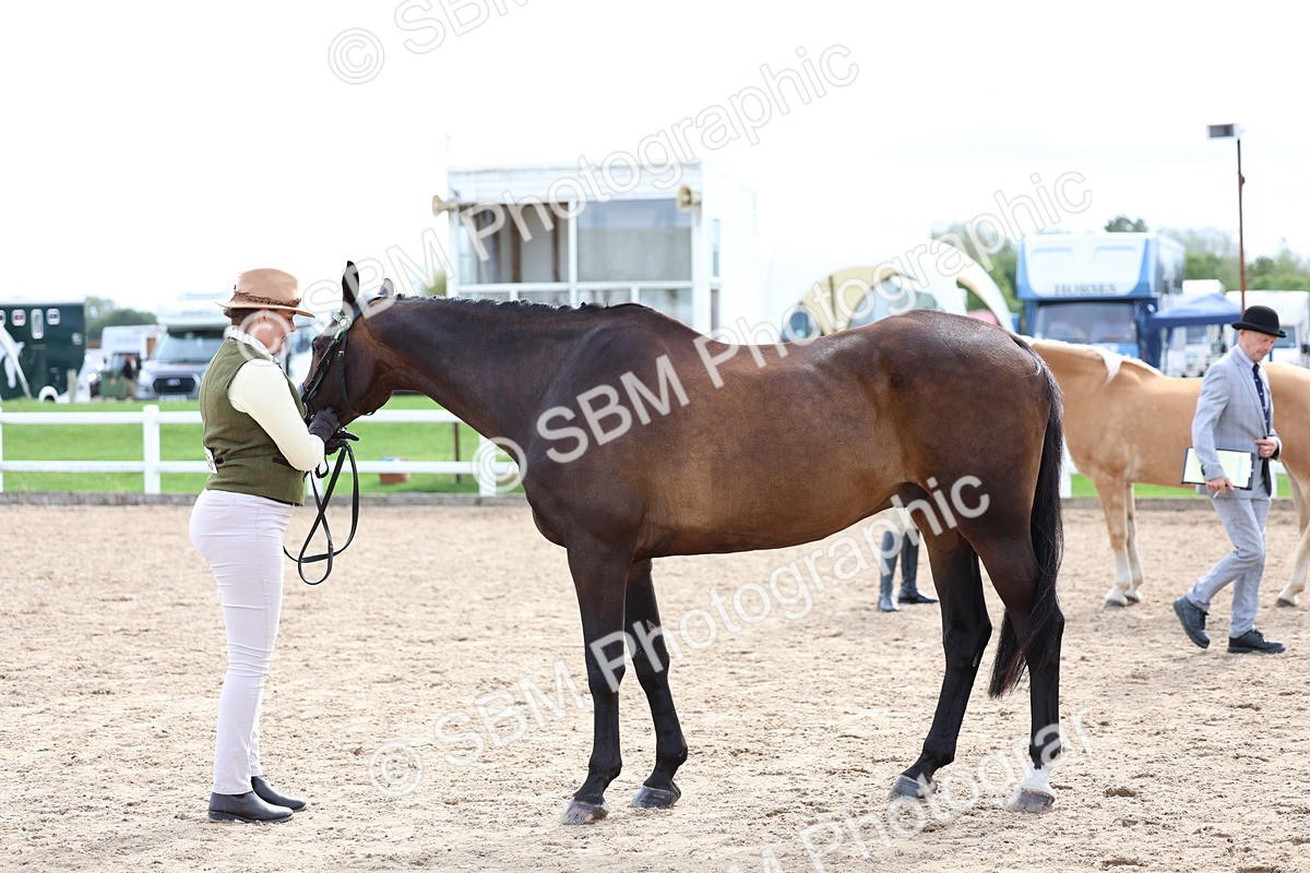 SBM_03942 - Class 25 - IH Foreign Breeds - Pure Bred