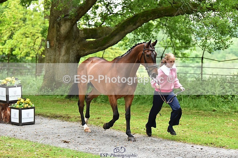 240522-163308-00996 - 211-THE_CLASSIC_COMPOSER-Rosie_Ringer