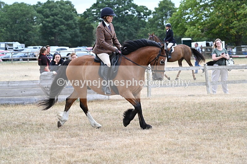 WJ7_0561 - Class 6 Ridden Mountain and Moorland