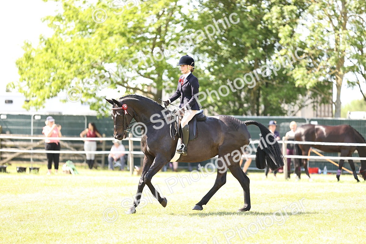 SBM_18010 - Class 81-83 - TSR Ridden Amateur of the Year - Horses