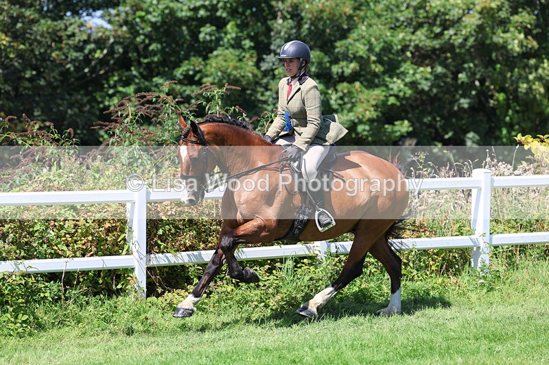 3E7A9234 - Working Hunter Championship