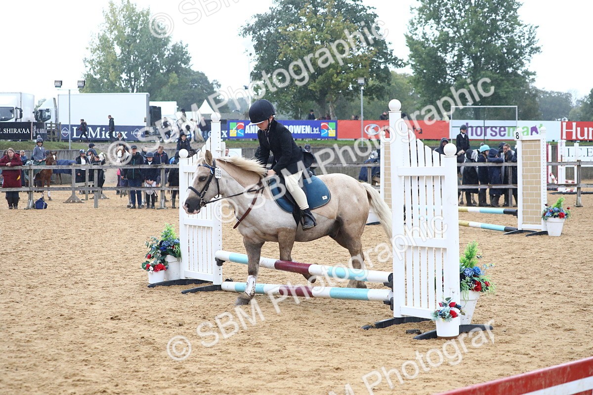 SBM_71571 - J4 - Mini Tour Junior Pony 45cm Championship