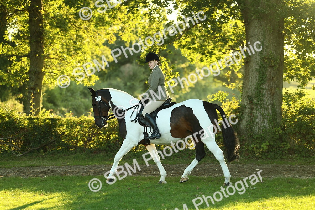SBM_56490 - S14 - Riding Club Horse