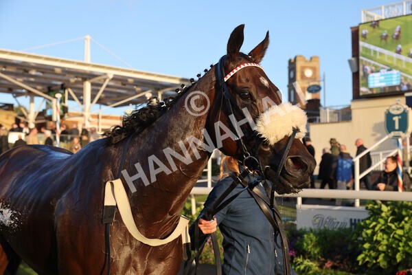 yr07102022r7-67 - Race 7 5.35pm IRE Incentive, It Pays To Buy Irish Stakes