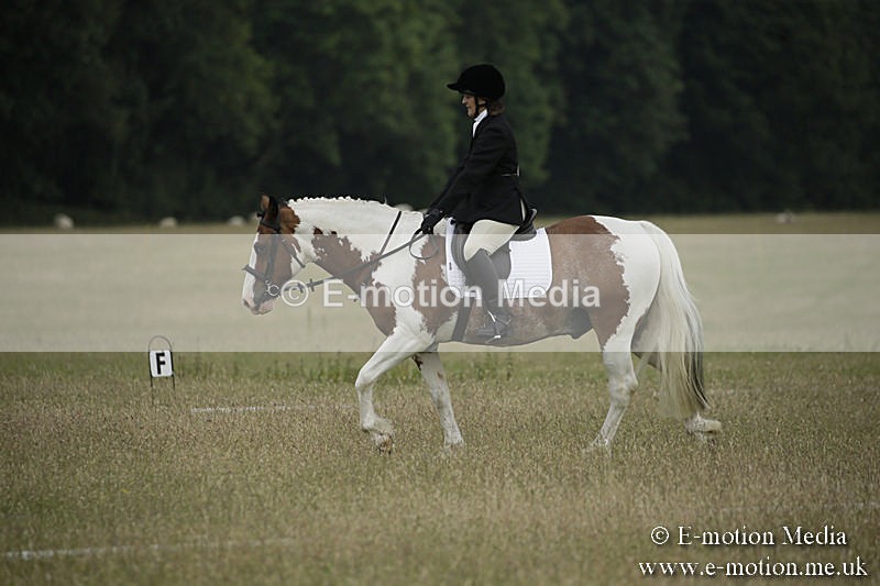 B230619-0216 - Bourne Valley Riding Club Summer Show 23/06/19