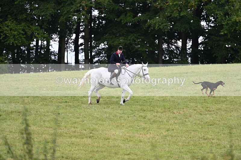 WJ7_4026 - Camera 1 Line 2