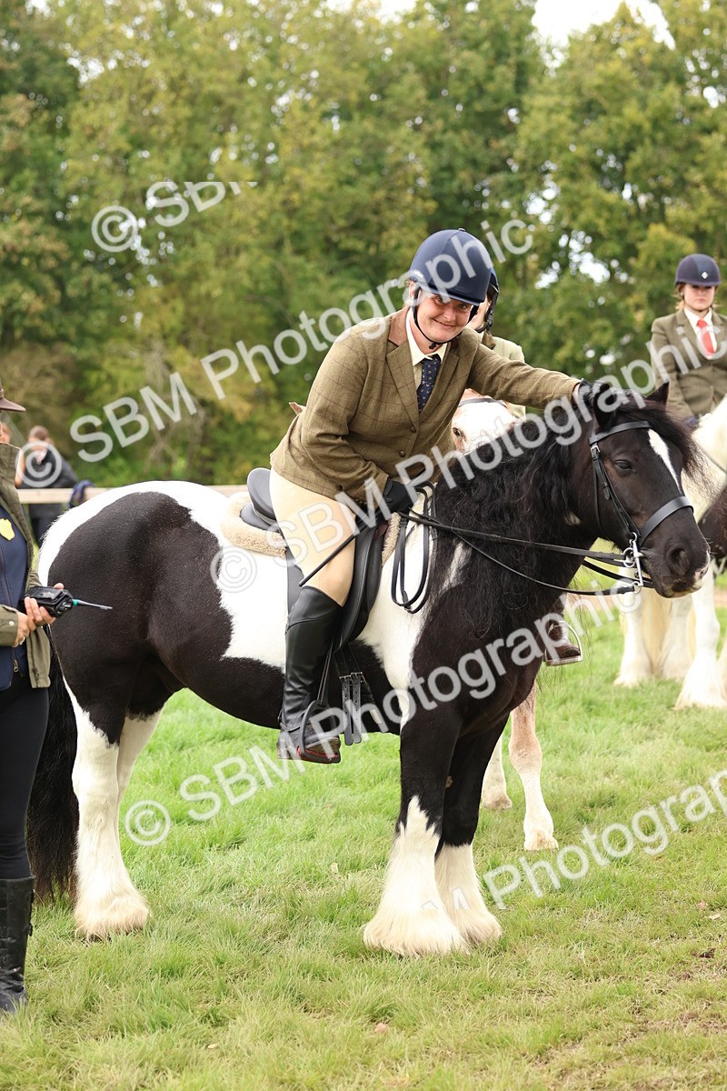 SBM_64588 - S58 - Coloured Pony Ridden