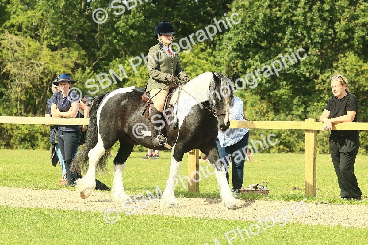 SBM_67377 - S56 - Coloured Pony Ridden