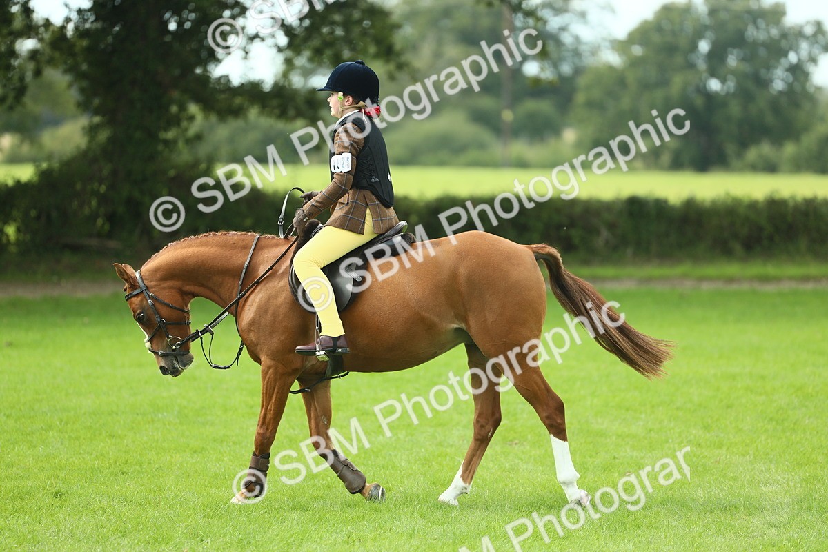 SBM_44655 - S31 - Working Hunter Pony