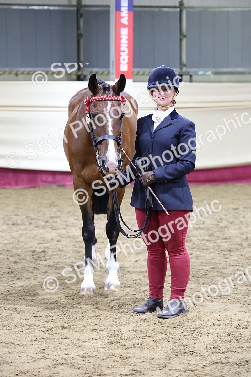 SBM_20538 - Class G - IH Large (over 148cm)Champ