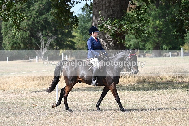 WJ7_6260 - Class 13 Ridden Veterans