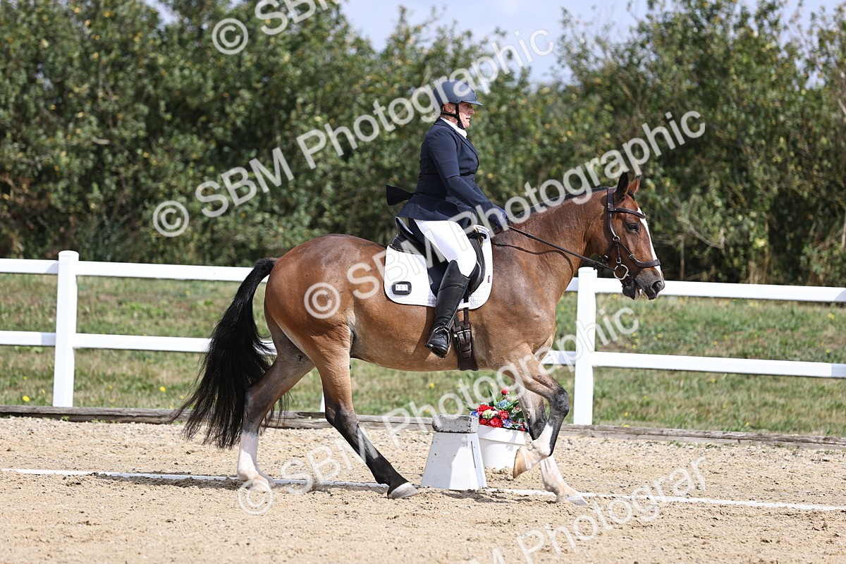 SBM_016234 - Class 14 - Novice 23 - 10.29-11.32